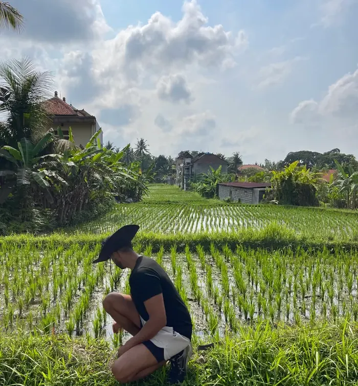 Planting rice in Indonesia